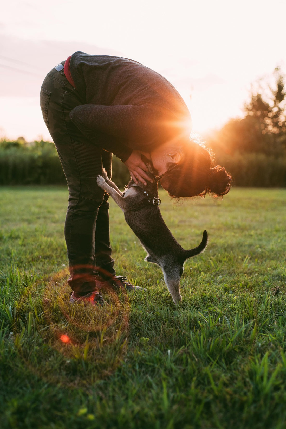 Puppy Training: From Playful Pup to Polite Pal – Understanding the Journey - Dog Training in Sacramento, CA