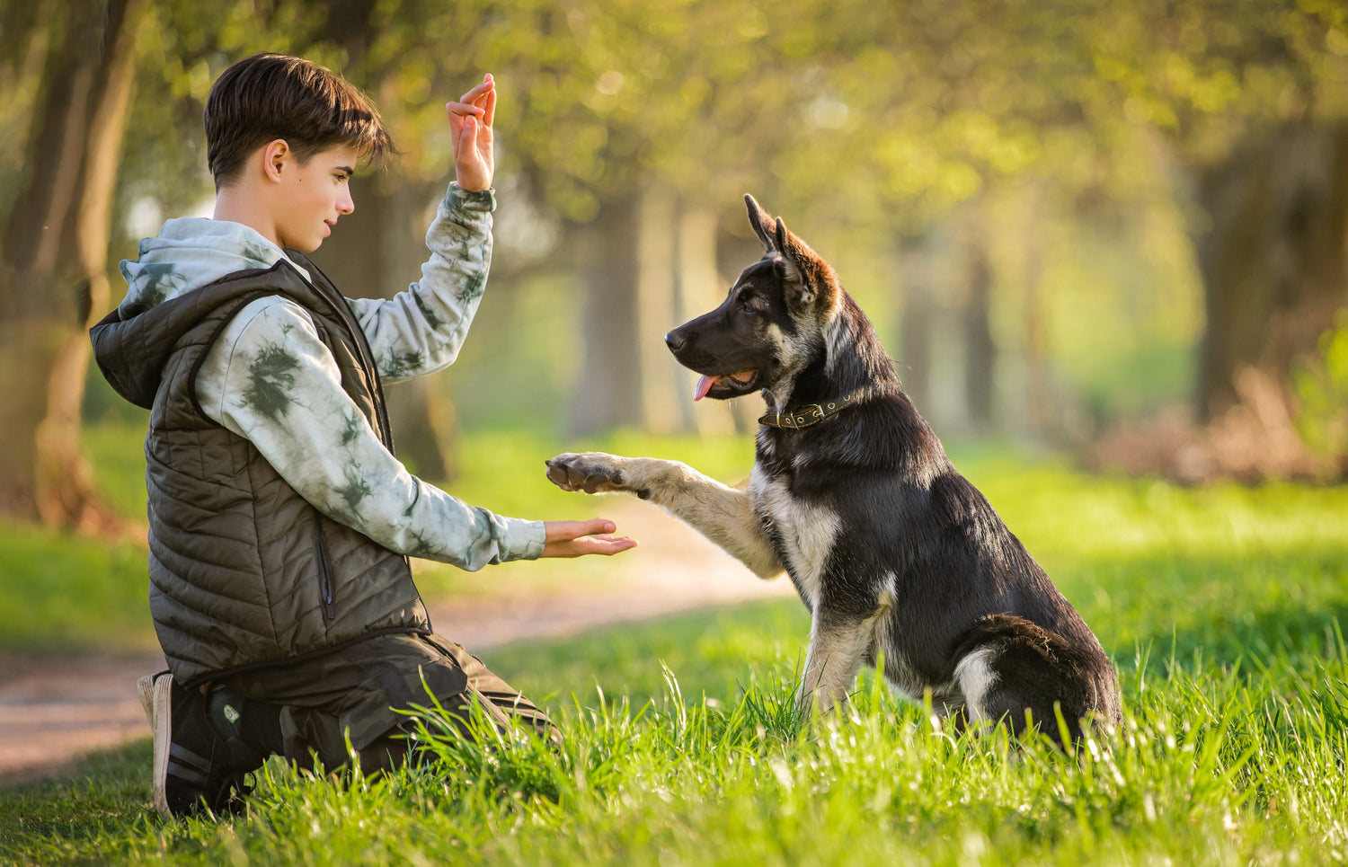 Dawg House Puppy Training in Sacramento, CA - Basic Commands